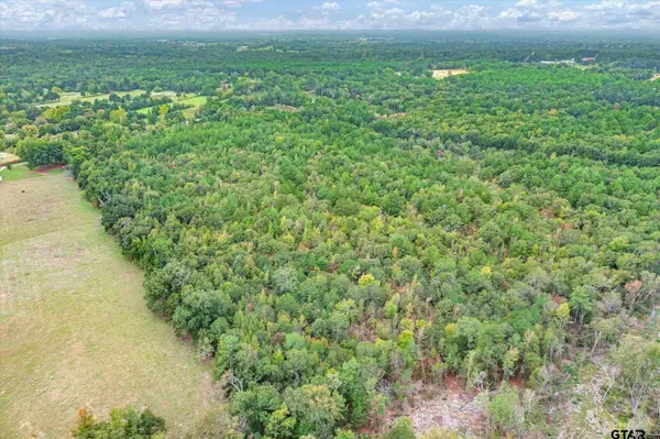 TBD (8.636 Acr) County Road 152 E, Tyler, TX 75703