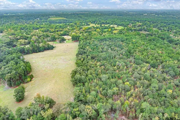 TBD (8.138 Acr) County Road 152 E, Tyler, TX 75703