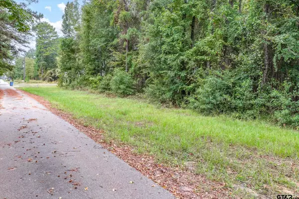 TBD (8.138 Acr) County Road 152 E, Tyler, TX 75703