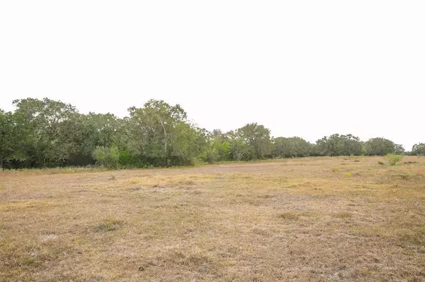 TBD County Road 132, Hallettsville, TX 77964