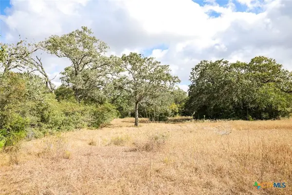 TBD County Road 132, Hallettsville, TX 77964