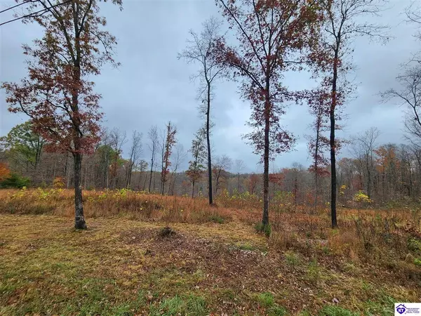 Lot 15 Myers Lane, Elizabethtown, KY 42701