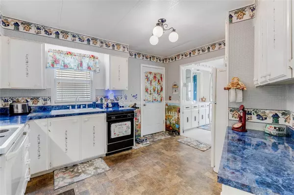 181 PALM MEADOWS DR, Eustis, FL 32726