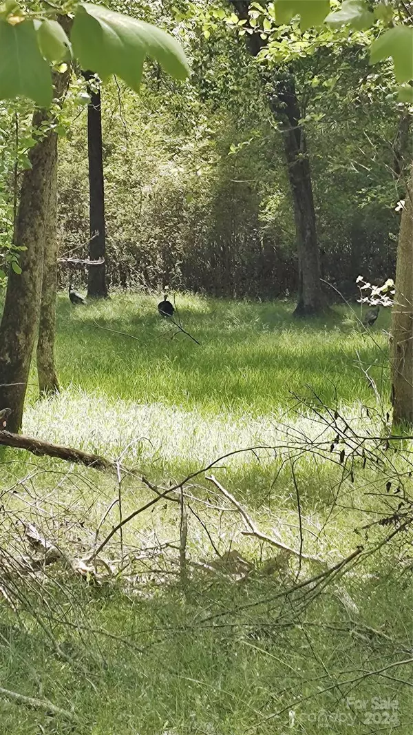 0 Cranberry LN #110, Mooresboro, NC 28114