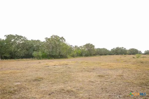 TBD County Road 132, Hallettsville, TX 77964