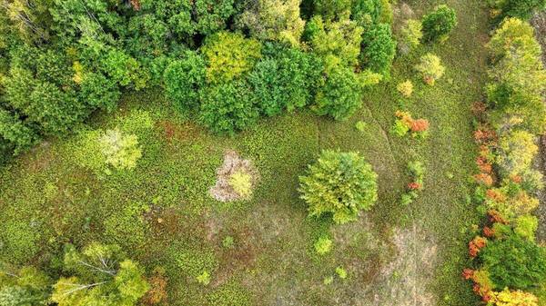 2888 State Highway 71 Hwy, Ridgeville, WI 54648