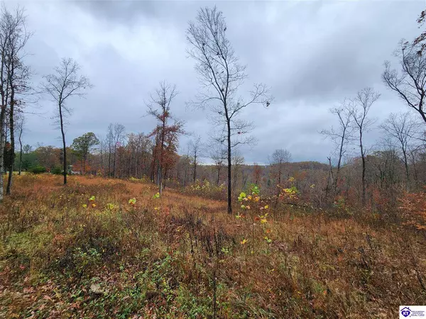 Lot 15 Myers Lane, Elizabethtown, KY 42701