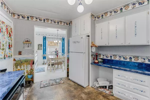 181 PALM MEADOWS DR, Eustis, FL 32726