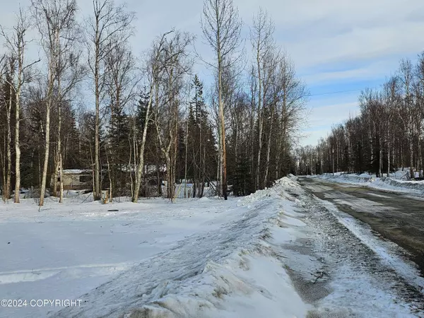 1575 W Bluff View DR, Wasilla, AK 99654