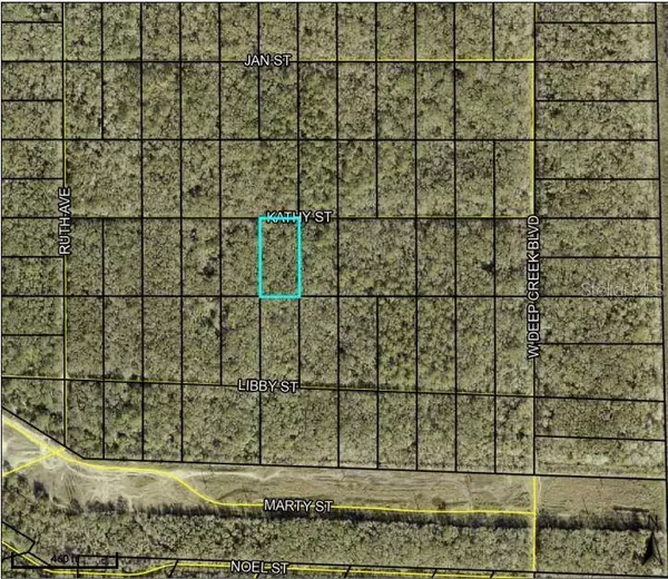 KATHY ST, Hastings, FL 32145