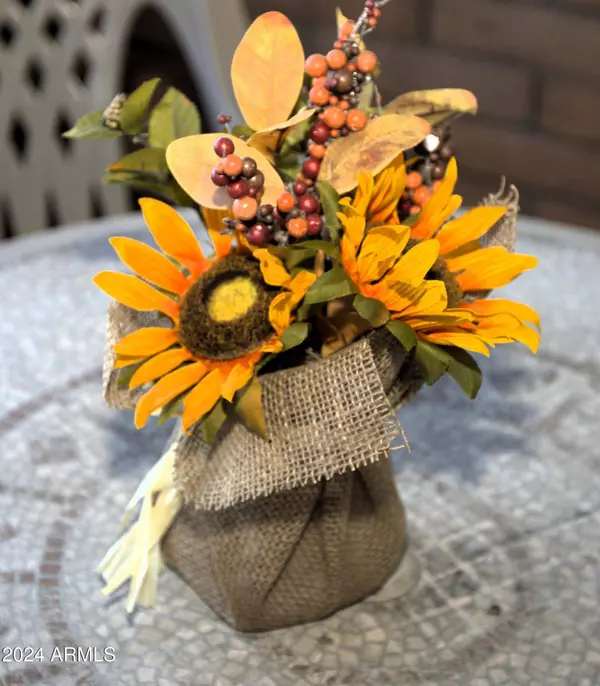 606 Navajo Road, Mesa, AZ 85206