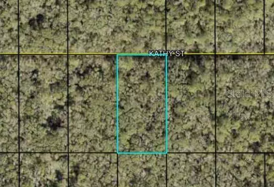 KATHY ST, Hastings, FL 32145