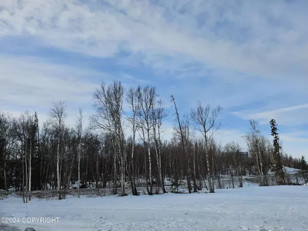 1575 W Bluff View DR, Wasilla, AK 99654