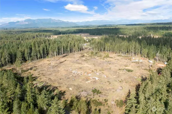 111 W Bear Grass LN, Shelton, WA 98584