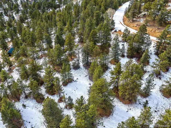 35441 Upper Aspen LN, Pine, CO 80470