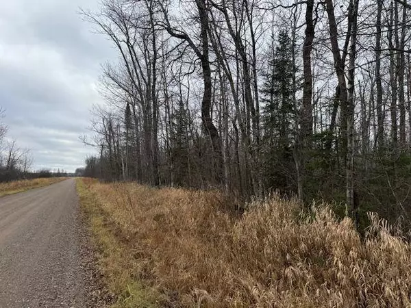 XXXX County Road 156, Kettle River, MN 55757