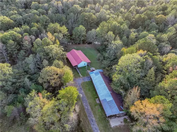 11702 Malone Creek RD, Gordo, AL 35466