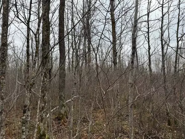 XXXX County Road 156, Kettle River, MN 55757