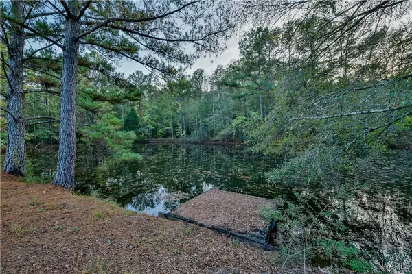 11702 Malone Creek RD, Gordo, AL 35466