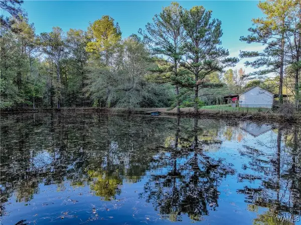 11702 Malone Creek RD, Gordo, AL 35466