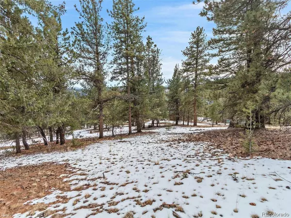 35441 Upper Aspen LN, Pine, CO 80470