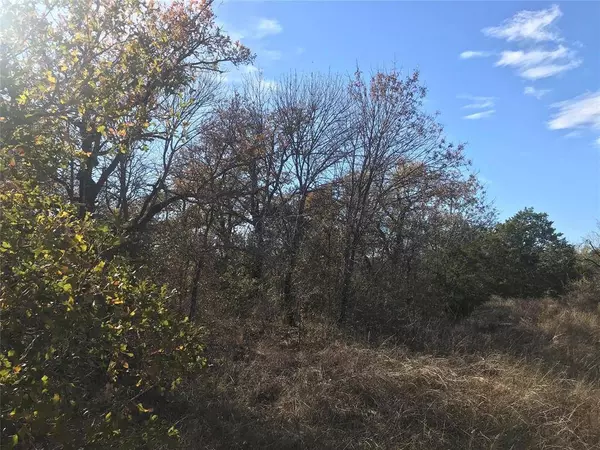 TBD Stagecoach Trail, Gordon, TX 76453