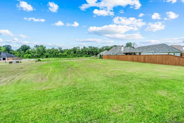 36157 WESTIN RIDGE DR, Geismar, LA 70734