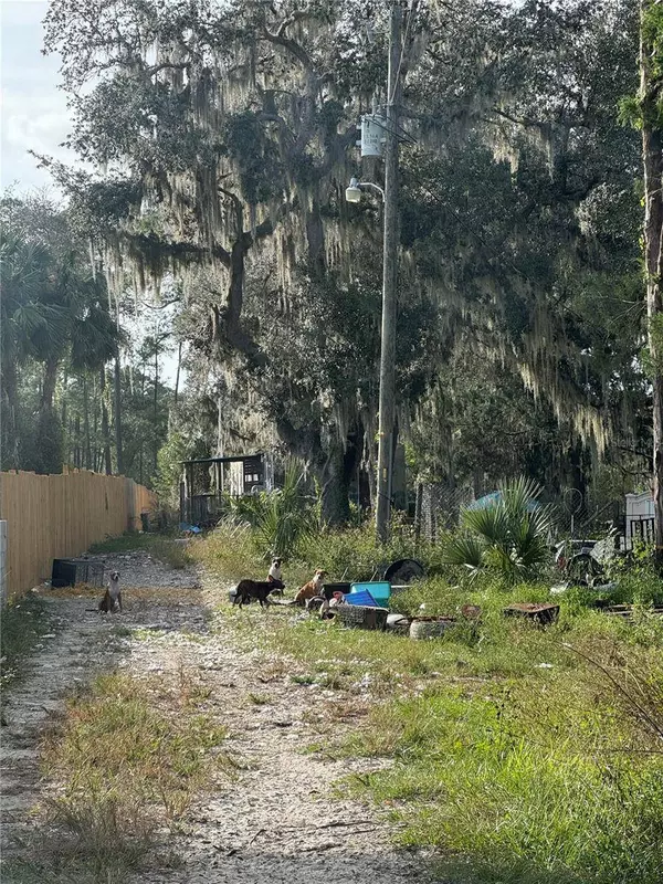 38443 YOUPON TRL, Eustis, FL 32736