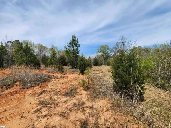 2196 Stewart Dairy Road, Fountain Inn, SC 29644