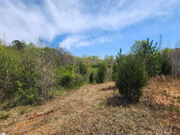 2196 Stewart Dairy Road, Fountain Inn, SC 29644