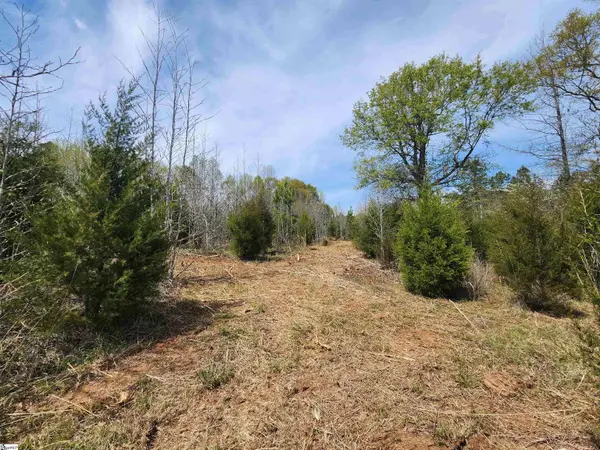 2196 Stewart Dairy Road, Fountain Inn, SC 29644