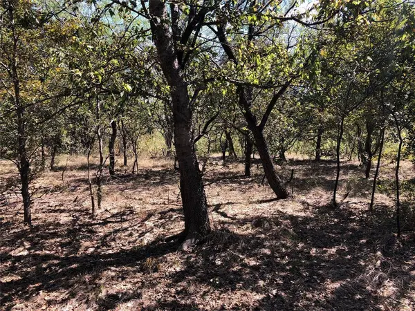 TBD 15 Acres SW CR 2190, Richland, TX 76681