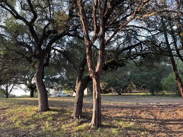 TBD County Road 1617, Clifton, TX 76634