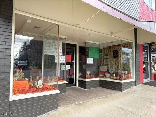366 Main ST, Grantsville, WV 26147