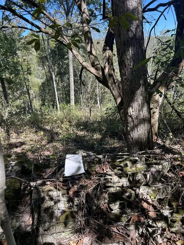 0 Ben Gentry Ln, Elmwood, TN 38560