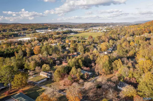 415 Leath Drive NE, Fort Payne, AL 35967