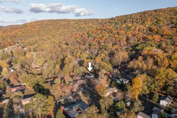 415 Leath Drive NE, Fort Payne, AL 35967