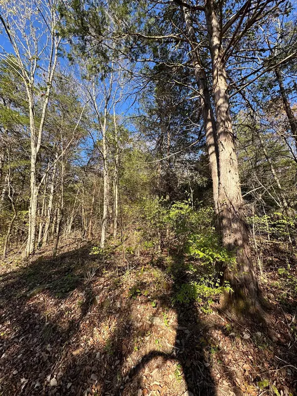 0 Ben Gentry Ln, Elmwood, TN 38560