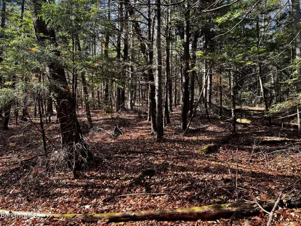Lot 83 Moberg Rd, Becket, MA 01223