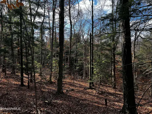 Lot 3A Hiawatha HL, Becket, MA 01223