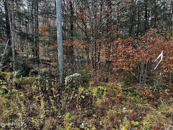 Lot 83 Moberg Rd, Becket, MA 01223