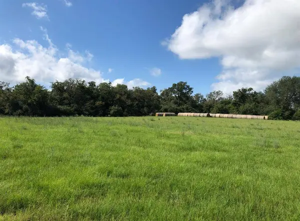 TBD 19.871 Acres County Road 344 W, Marquez, TX 77865