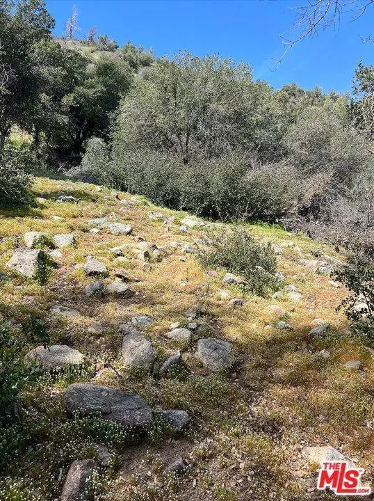 0 Kings Canyon RD, CA 93532
