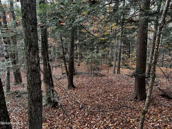 Lot 3A Hiawatha HL, Becket, MA 01223