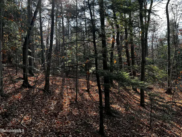 Lot 3A Hiawatha HL, Becket, MA 01223