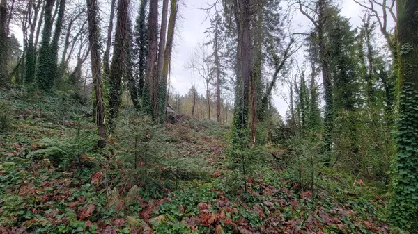 306 4th Ave, Oregon City, OR 97045-3148