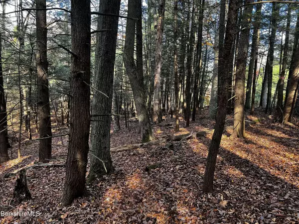 Lot 84 Moberg Rd, Becket, MA 01223
