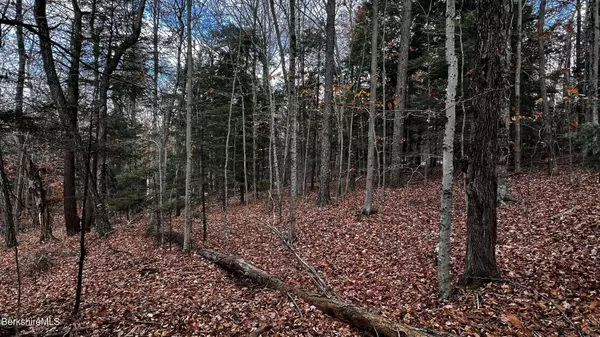 Lot 84 Moberg Rd, Becket, MA 01223