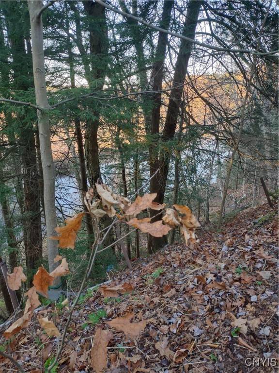 7785 Passer RD #87, Blossvale, NY 13308