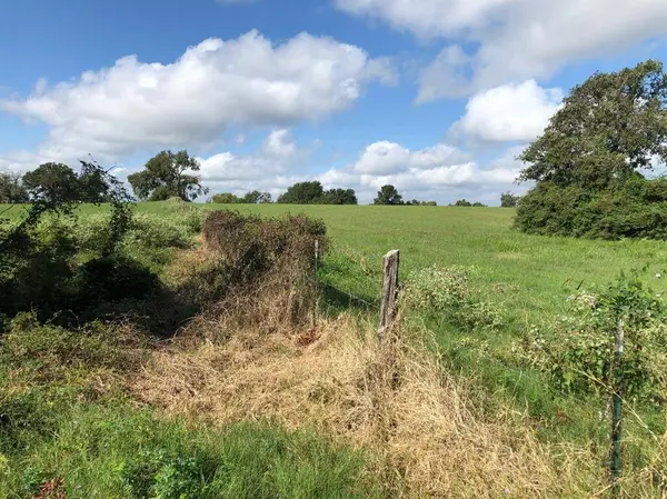 TBD 19.871 Acres County Road 344 W, Marquez, TX 77865